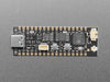 Angled shot of long skinny black microcontroller.