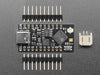 Angled shot of short black microcontroller.