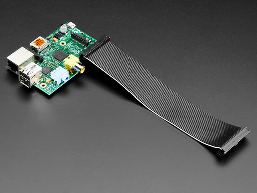 Angled shot of a GPIO Ribbon Cable for Raspberry Pi Model A and B. 