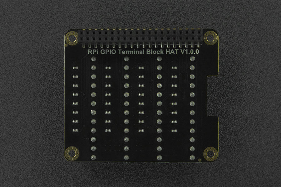 Raspberry Pi 4B GPIO Terminal Block HAT