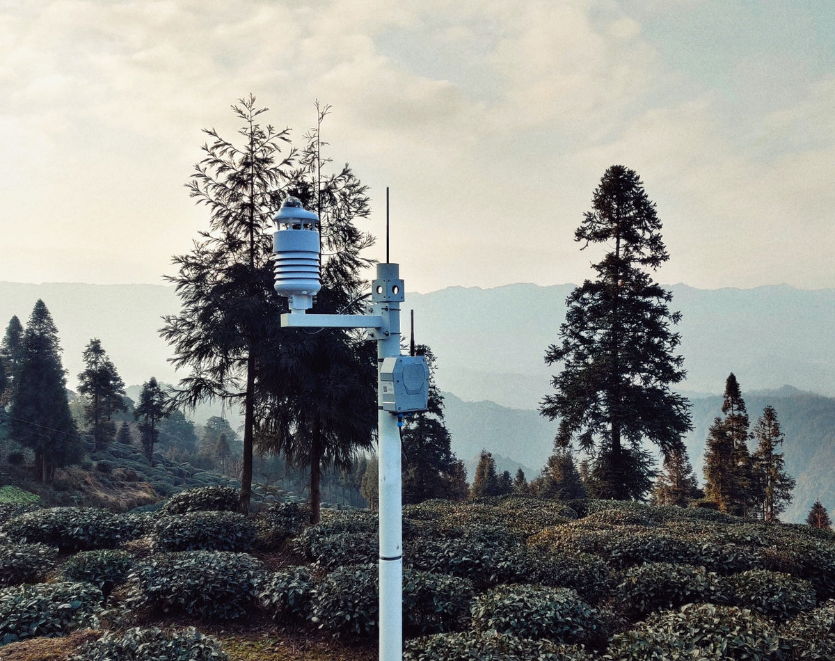 SenseCAP ONE S700 7-in-1 Compact Weather Sensor — Robot Italy